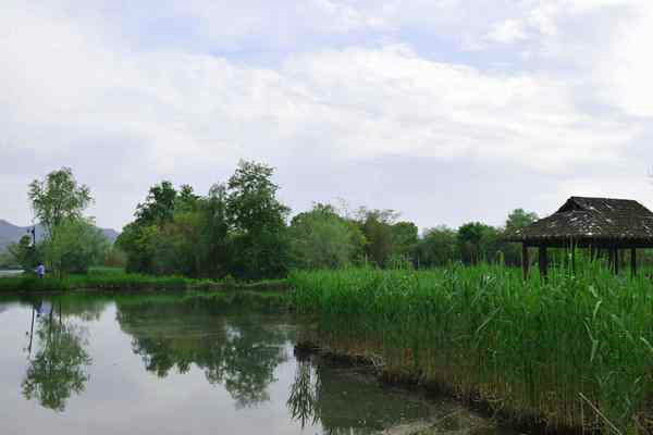 滁州市明光市全方位提升生態環境治理水平