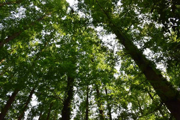 《河北省噪聲污染防治報告（2025年）》發布